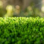 Свежая газонная трава