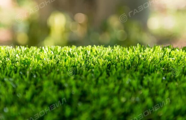 Свежая газонная трава