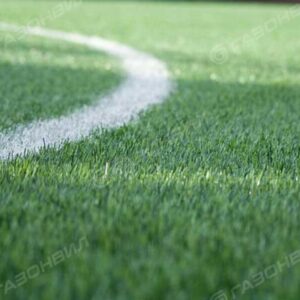 Посевной газон для футбола