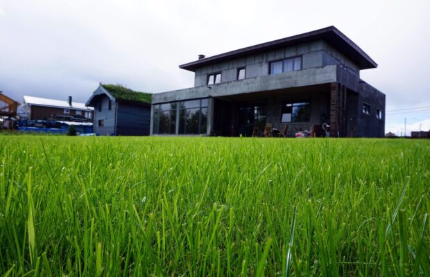 Рейтинг лучших производителей газонной травы для дачи