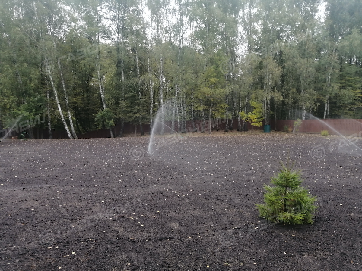 Посевной газон в Подольске слайдер 1